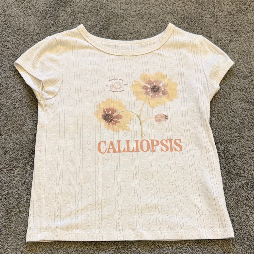 American Eagle Outfitters Cream Crop Top with Yellow Floral Design